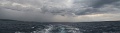 IMG_1901_ - panorama
